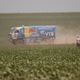 Illustration for article titled How Much Is The Dakar Rally Really Doing Right By The Environment?